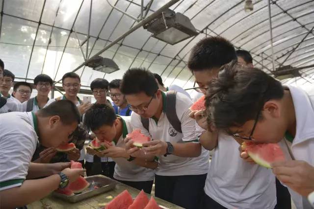 吃瓜爆料17黑料网曝门，揭秘娱乐圈潜规则！